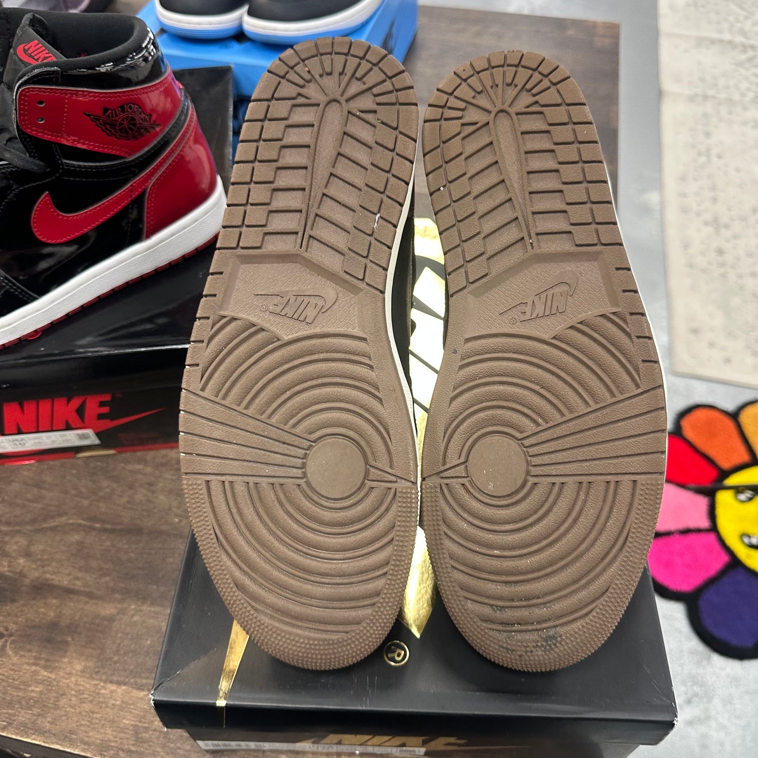 Palomino Jordan 1 High (USED)