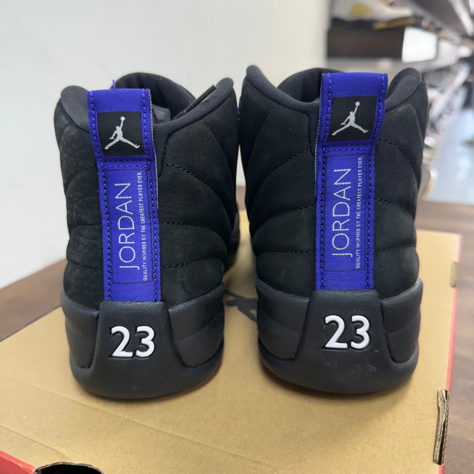 Dark Concord Jordan 12 (Lightly Worn)