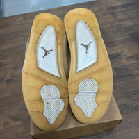 Shimmer Jordan 4 (W) (USED, No Box)