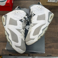 Cool Grey Jordan 6 (USED)