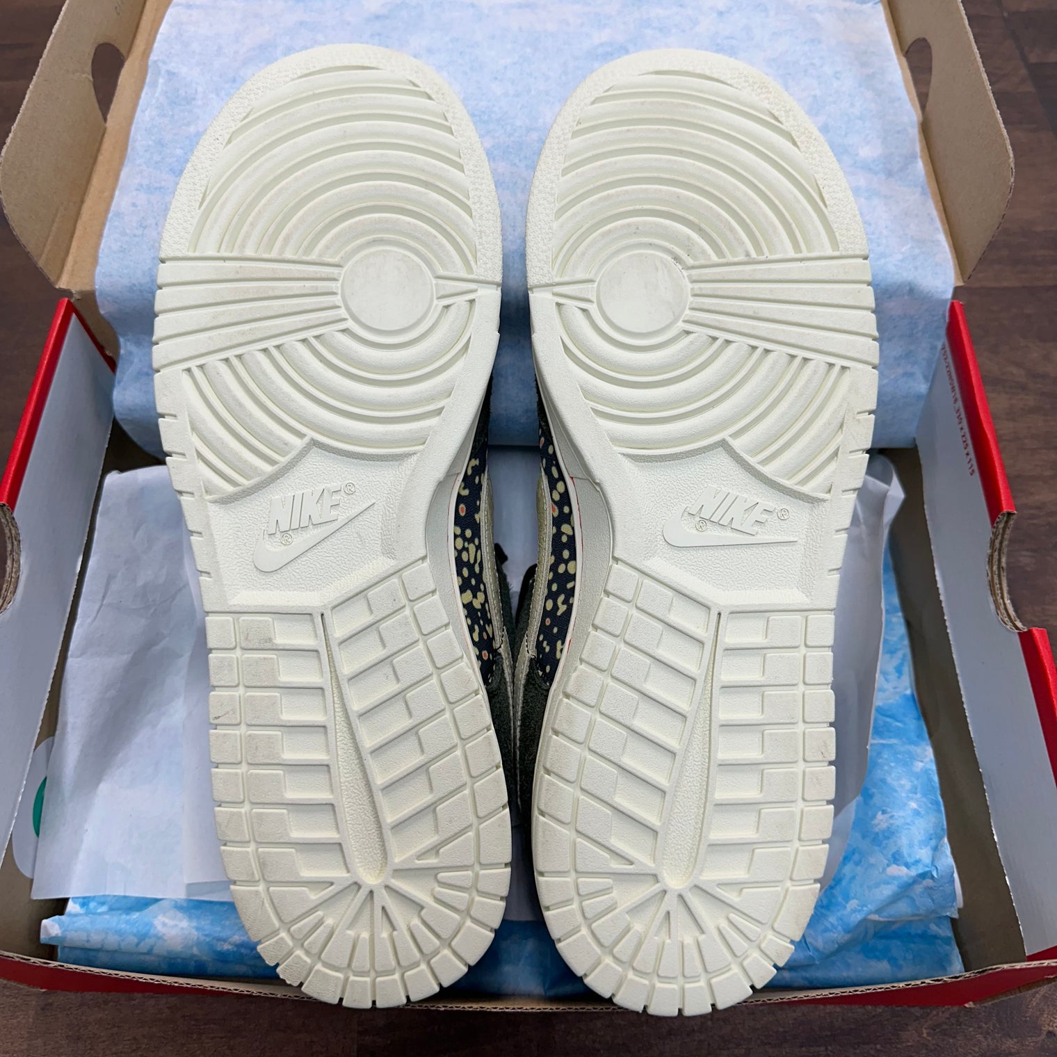 Gone Fishing Rainbow Trout Nike Dunk Low (USED)