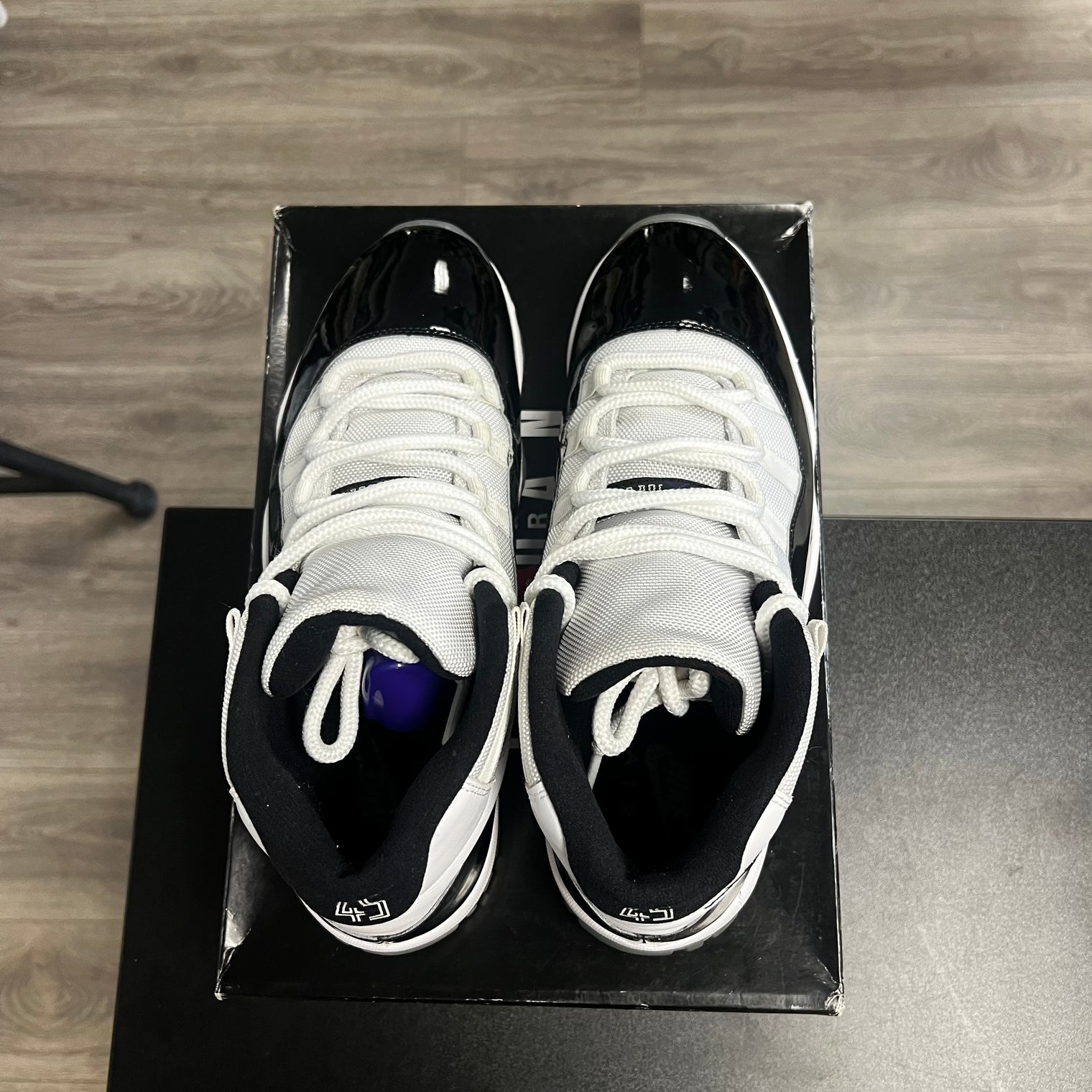 Concord Jordan 11 (USED)
