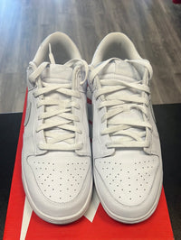 Pure Platinum Dunk Low (USED)