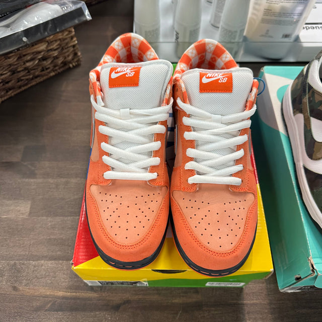 Orange Lobster SB Dunk Low (USED)