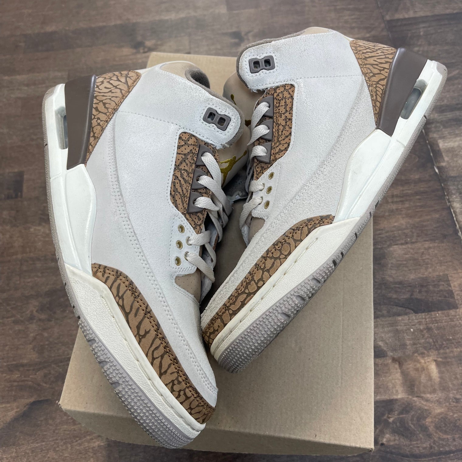 Palomino Jordan 3 Retro (USED, No Box)