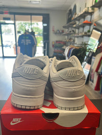 Pure Platinum Dunk Low (USED)