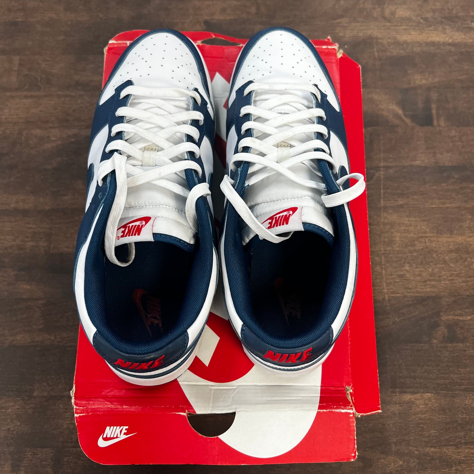 Valerian Dunk Low (USED)