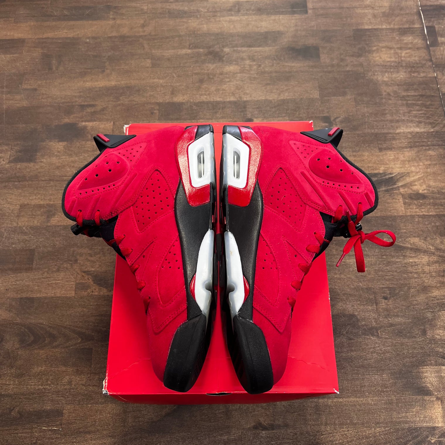 Toro Bravo Jordan 6 (USED)