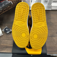 Pollen Jordan 1 High (USED)