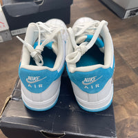 Looney Tunes Nike Air Force 1 Low (USED)