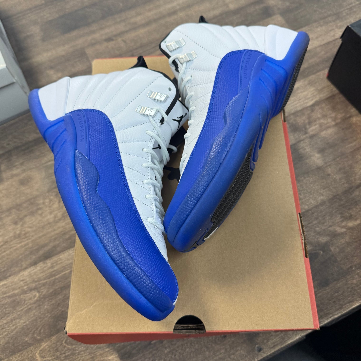 Blueberry Jordan 12 (USED)