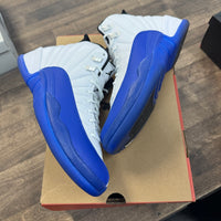 Blueberry Jordan 12 (USED)