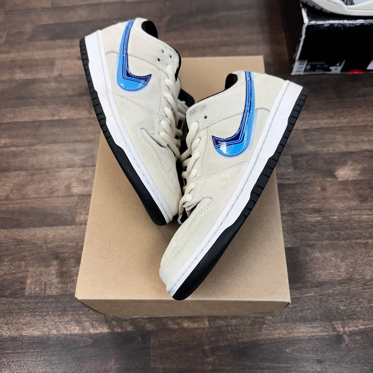 Truck It Nike SB Dunk Low (USED,No box)