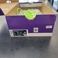 Mummy Nike SB Dunk Low (USED)