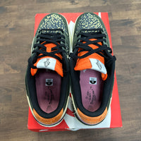 Gone Fishing Rainbow Trout Nike Dunk Low (USED)
