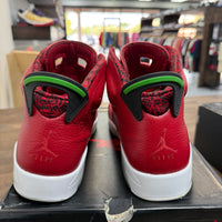 History of Jordan (Spiz'ike) Jordan 6 Retro (USED)