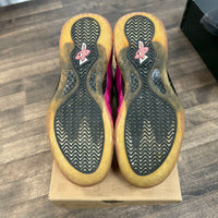 Pearlized Foamposite One (USED)