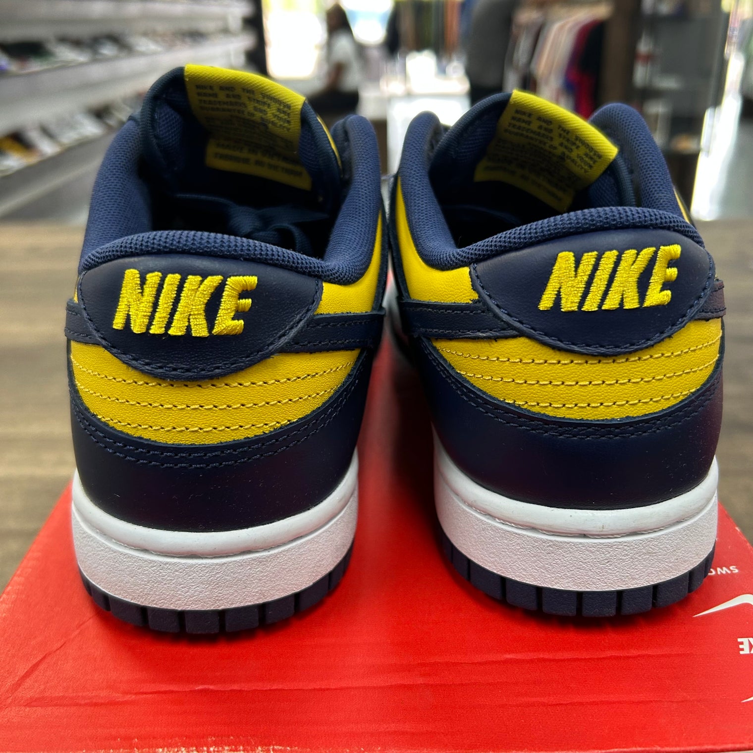 Michigan Dunk Low (USED)