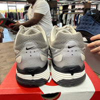 Metallic Silver Nike P-6000 (USED)