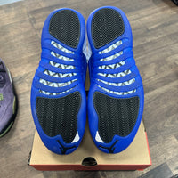 Blueberry Jordan 12 (Lightly Worn)