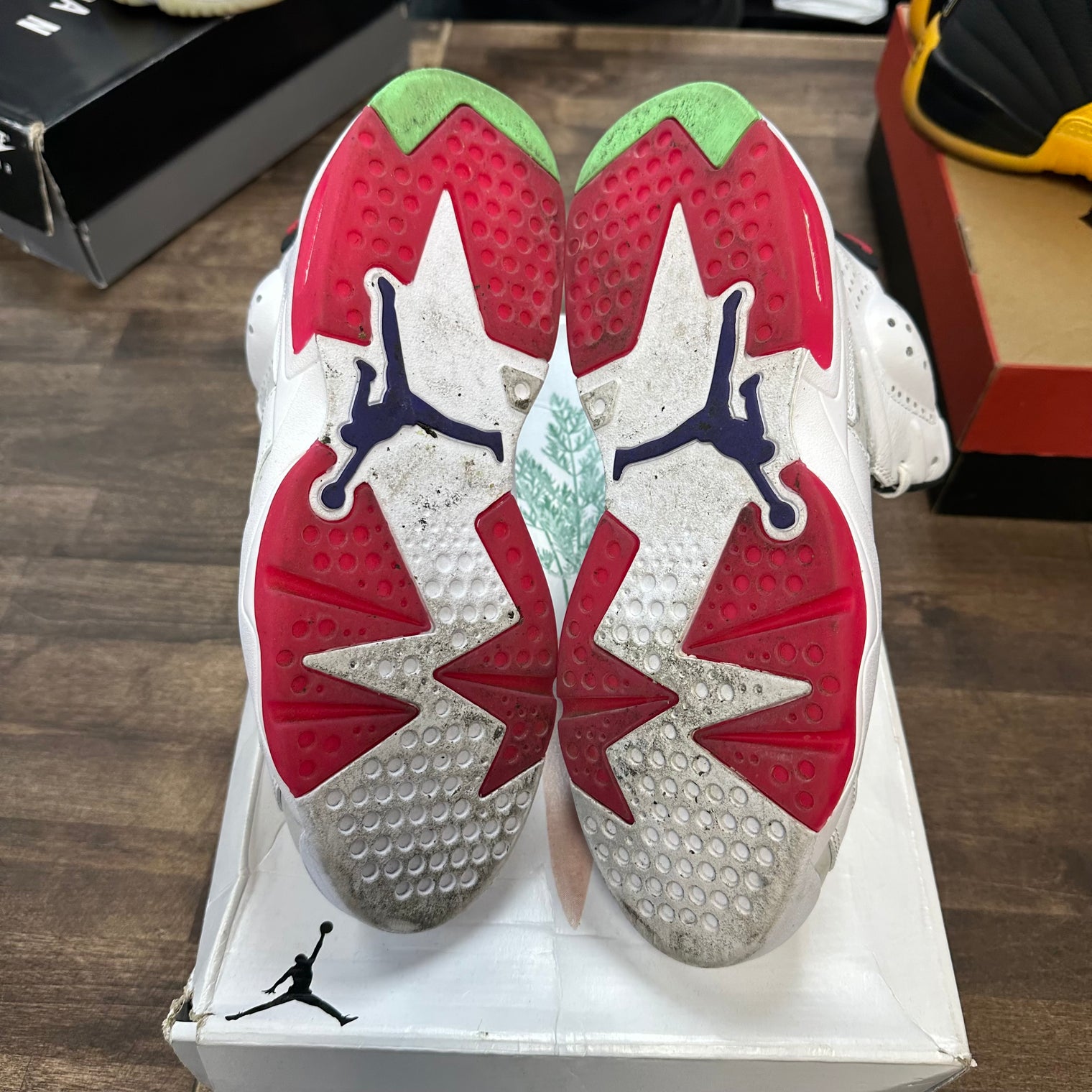 Hare Jordan 6 Retro (USED)