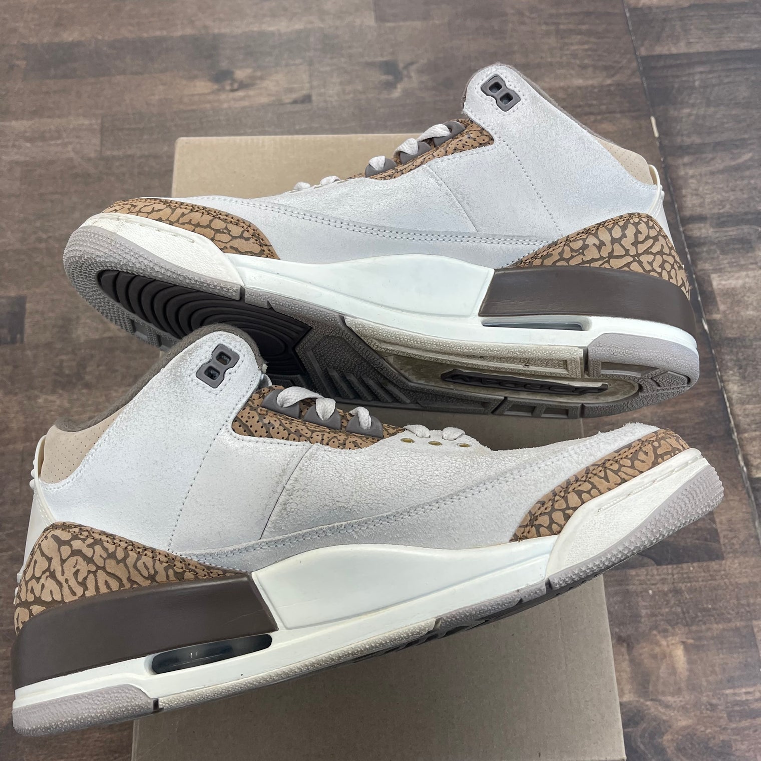 Palomino Jordan 3 Retro (USED, No Box)