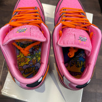 Blossom The Powerpuff Girls Nike SB Dunk Low (USED)