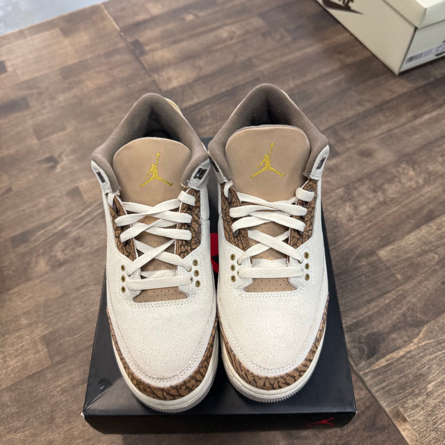 Palomino Jordan 3 Retro (GS) (USED)
