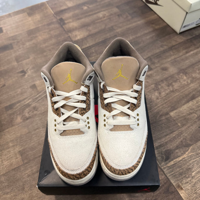 Palomino Jordan 3 Retro (GS) (USED)