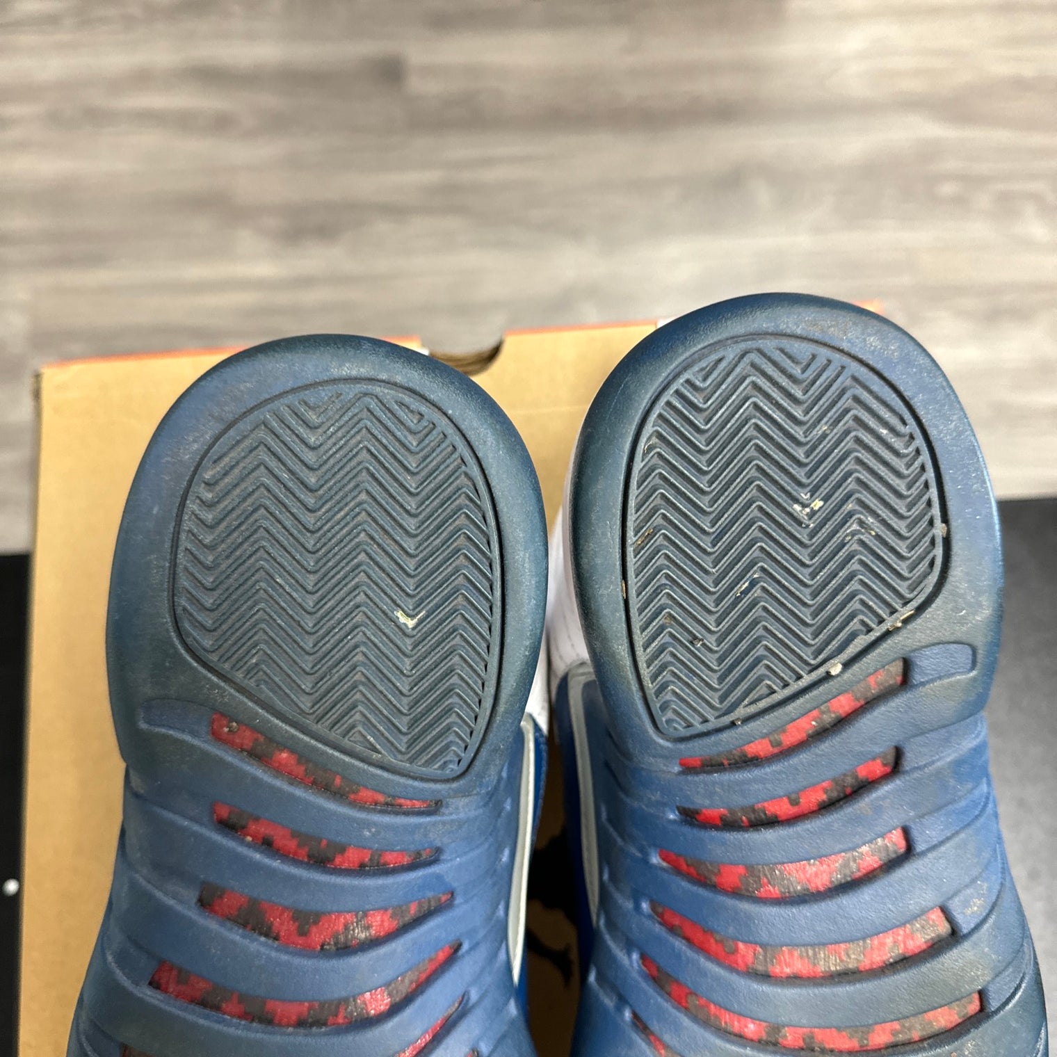 French Blue Jordan 12 (USED)