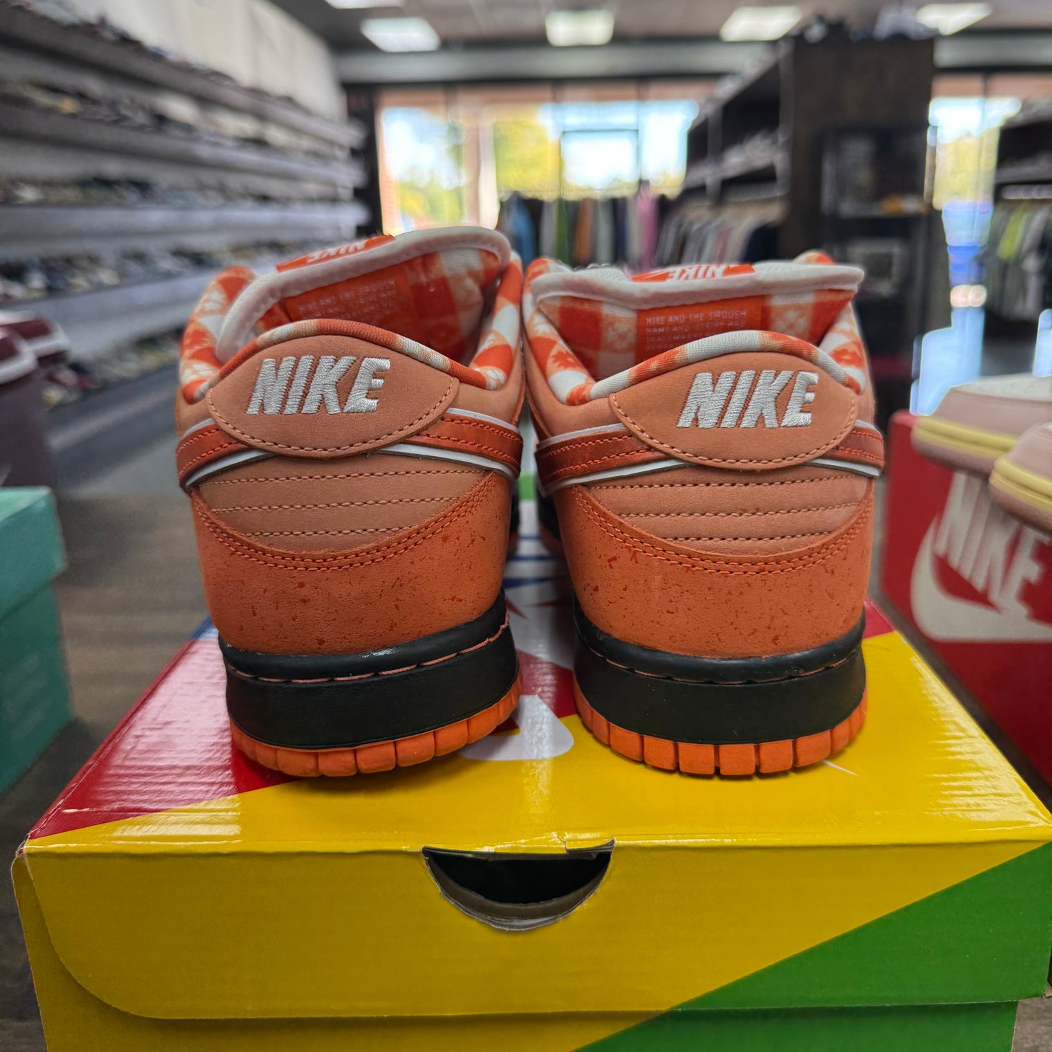 Concepts Orange Lobster SB Dunk Low (USED)