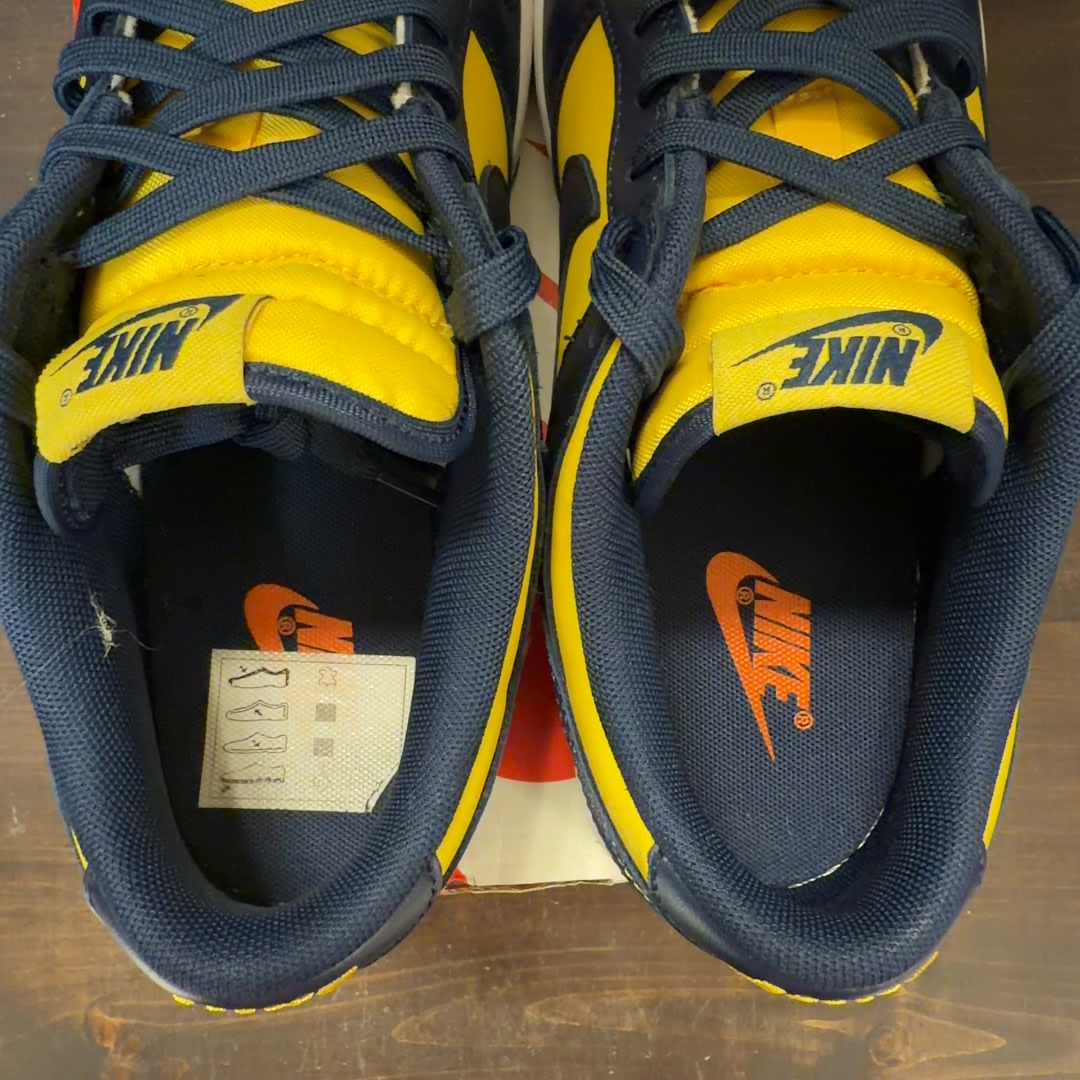 Nike Dunk Low Michigan (2021) - Image 5