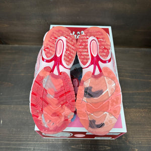 adidas Adistar Cushion 3 Unheardof Pork Chop Piggy Runner Size 5 (Pre-Owned) - Image 6