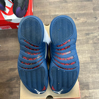 French Blue Jordan 12 (2025) (USED)