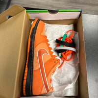 Orange Lobster SB Dunk Low (USED)