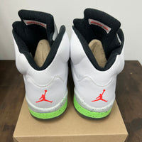 Poison Jordan 5 (Used, No Box)