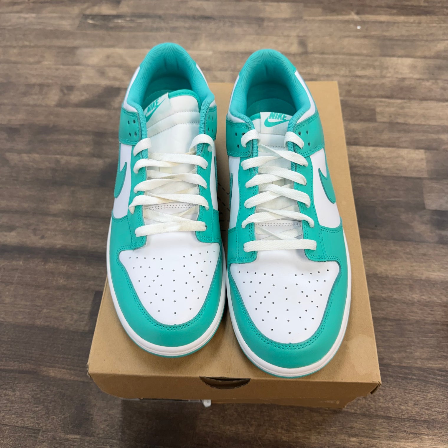 Clear Jade Nike Dunk Low (USED, Replacement Box)