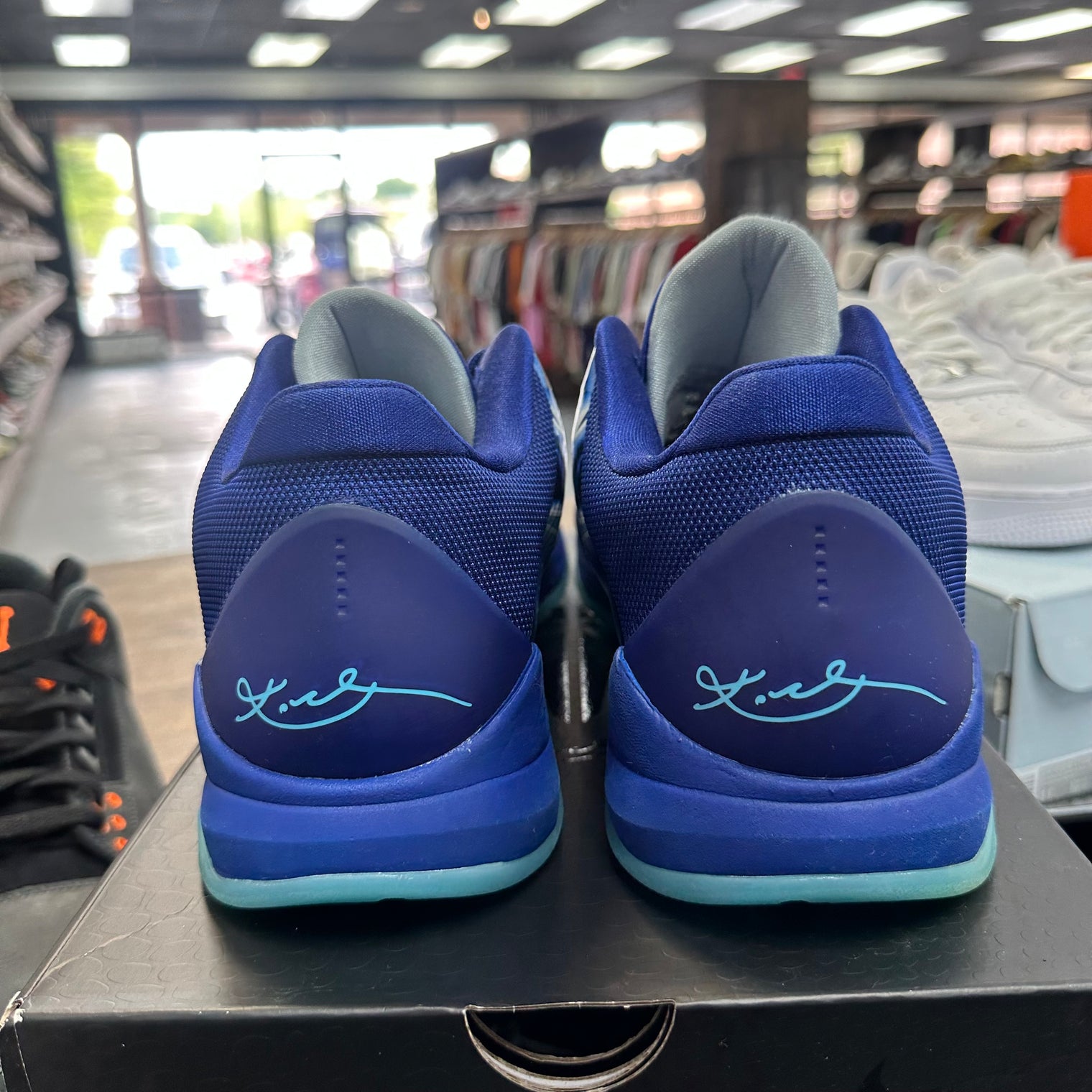 X-Ray Kobe 5 Protro (USED)
