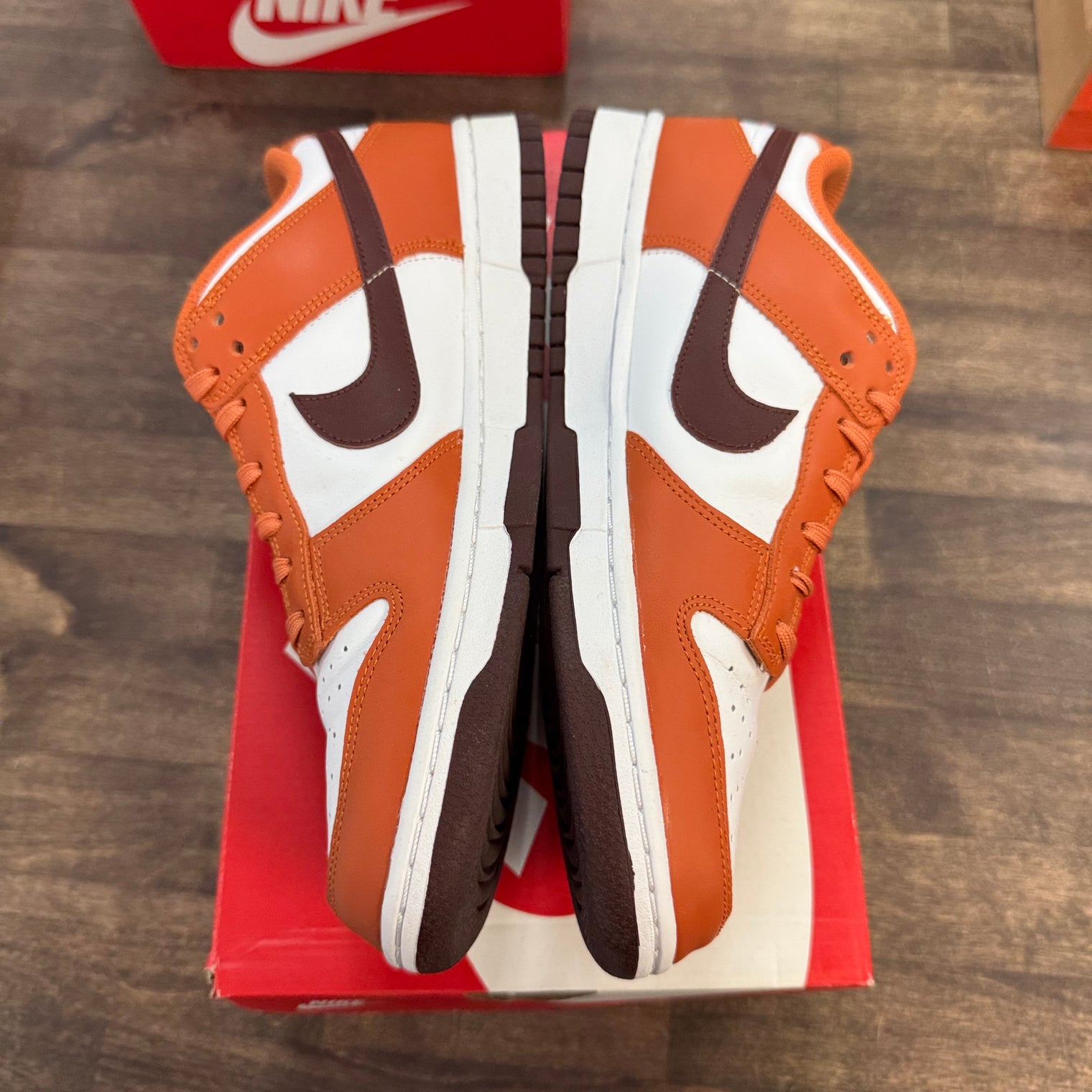 Brown Eclipse Nike Dunk Low (W) (USED)