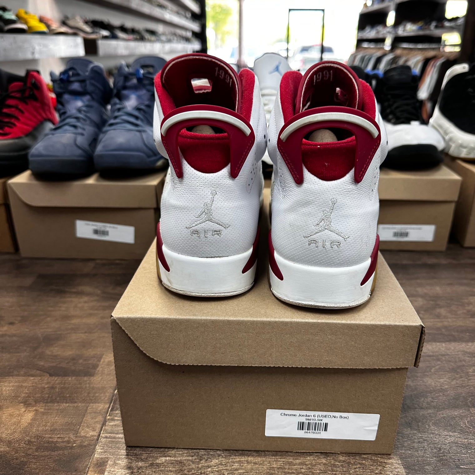 Alternate Jordan 6 (USED, No Box)