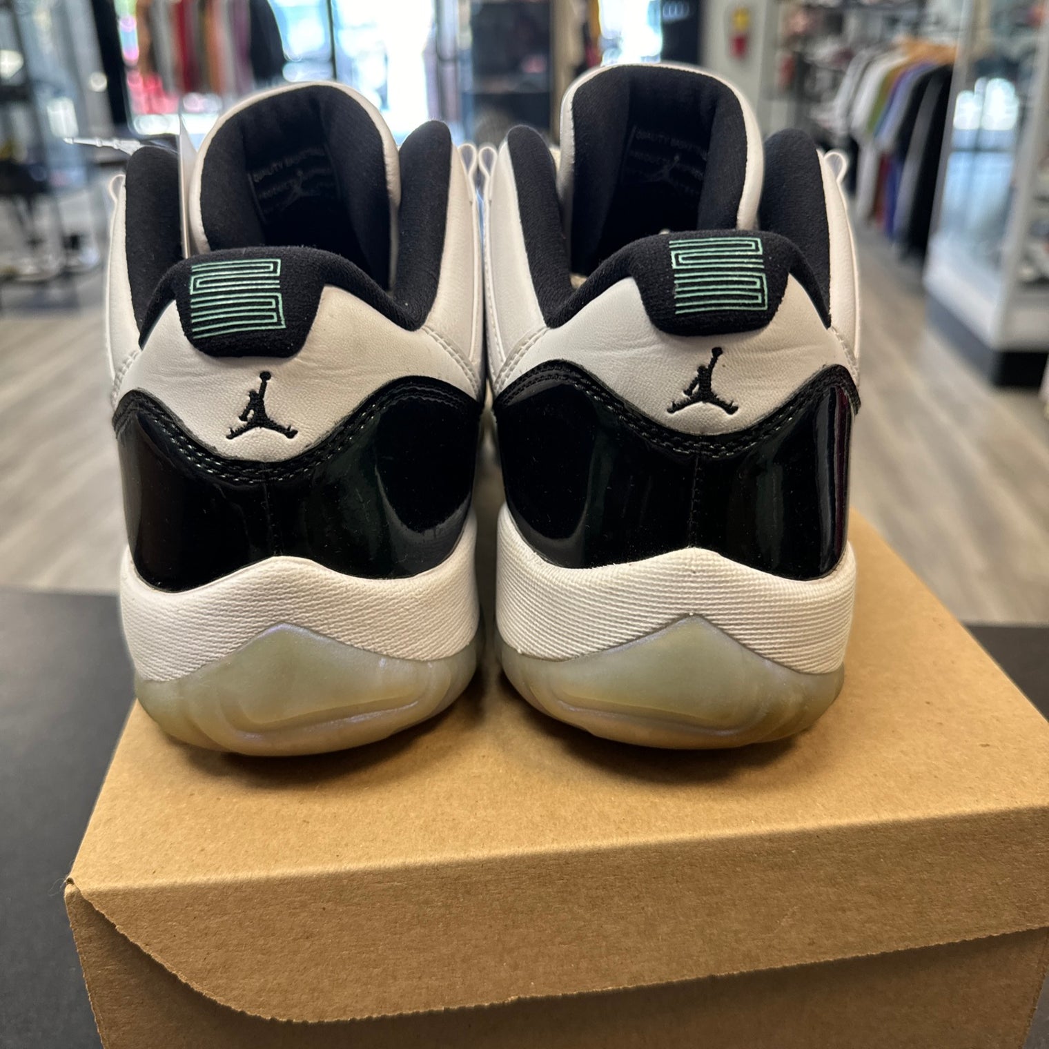 Iridescent Jordan 11 Low (USED, No Box)