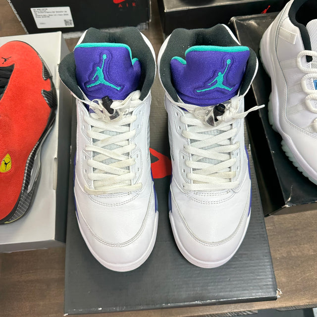 Grape Jordan 5 (2025) (USED)