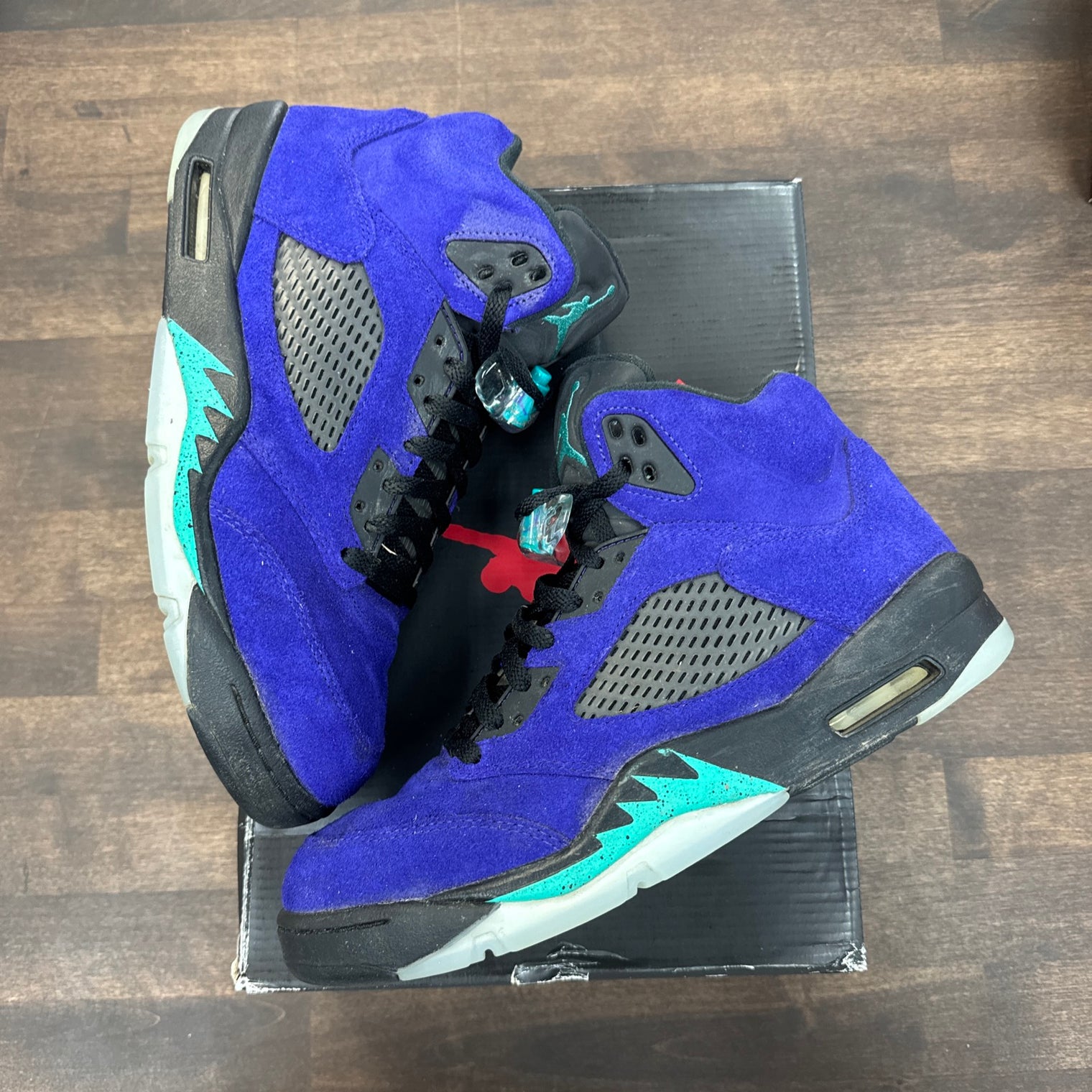 Alternate Grape Jordan 5 (USED)