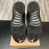 Jordan 12 Dark Concord (Used, no box)