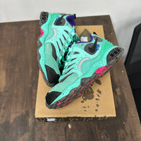 Undefeated x Nike Air Terra Humara (USED)