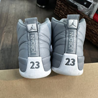Stealth Jordan 12 (USED,No Box)