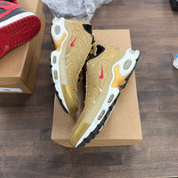 Metallic Gold Air Max Plus (USED, No Box)
