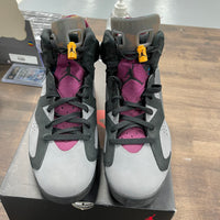 Bordeaux Jordan 6 (USED)