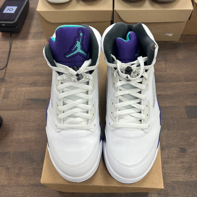 Grape Jordan 5 (2013) (USED, No Box)