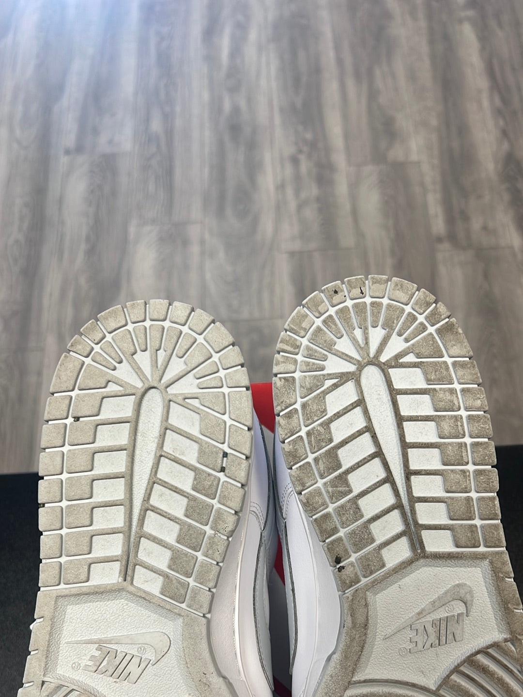 Pure Platinum Dunk Low (USED)